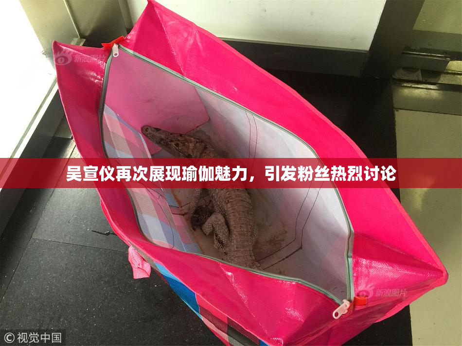 吴宣仪再次展现瑜伽魅力，引发粉丝热烈讨论