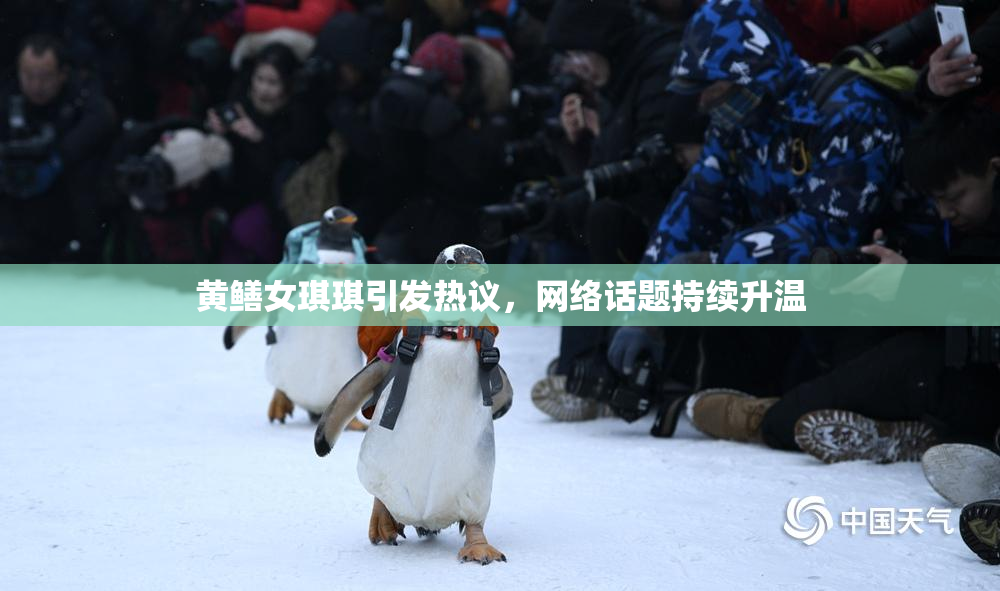 黄鳝女琪琪引发热议，网络话题持续升温