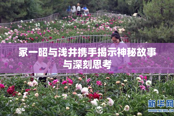 冢一昭与浅井携手揭示神秘故事与深刻思考