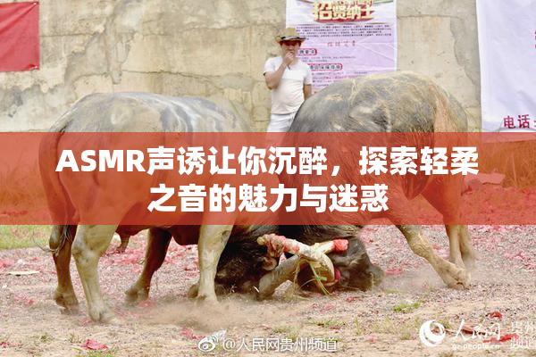 ASMR声诱让你沉醉，探索轻柔之音的魅力与迷惑