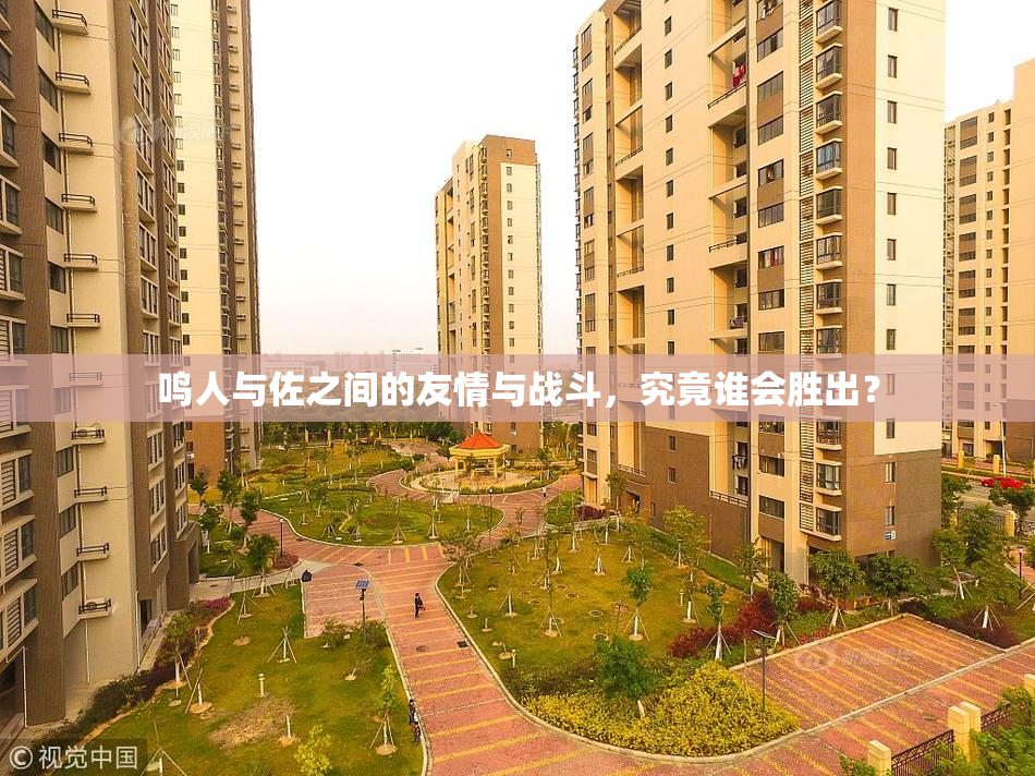 鸣人与佐之间的友情与战斗，究竟谁会胜出？