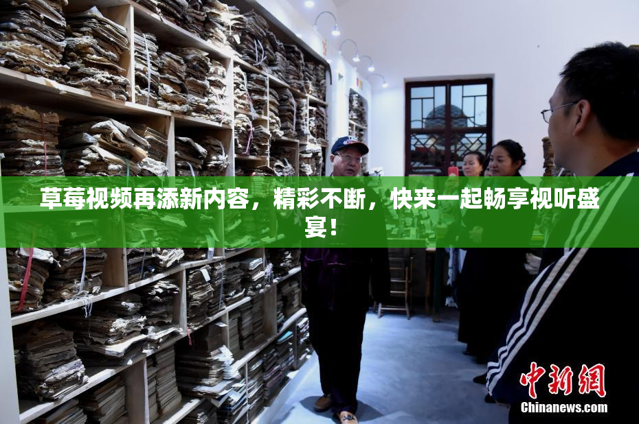 草莓视频再添新内容，精彩不断，快来一起畅享视听盛宴！