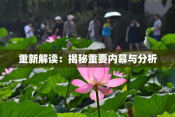 重新解读：揭秘重要内幕与分析