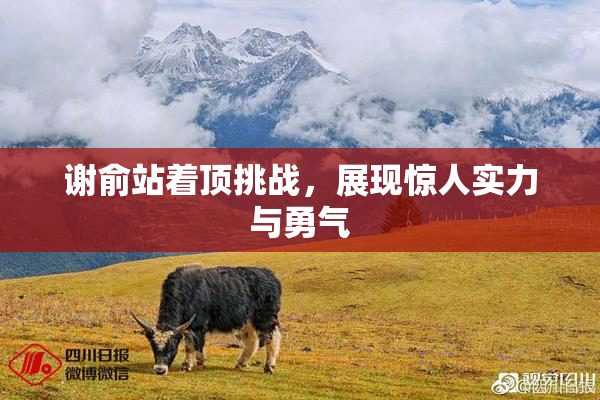 谢俞站着顶挑战，展现惊人实力与勇气