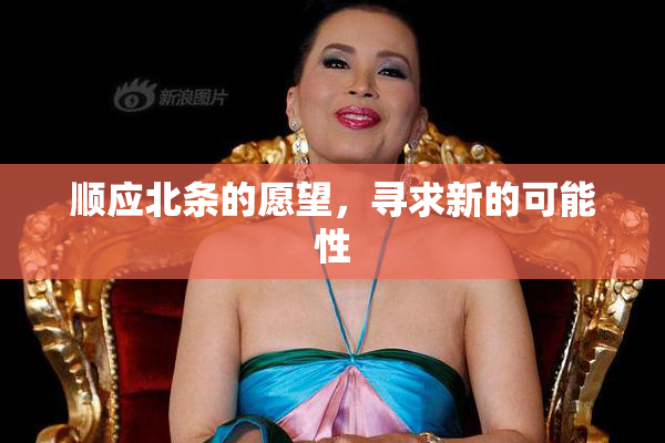 顺应北条的愿望，寻求新的可能性