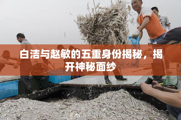 白洁与赵敏的五重身份揭秘，揭开神秘面纱