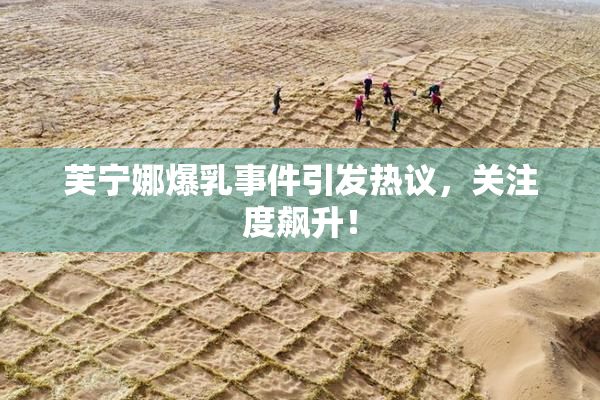 芙宁娜爆乳事件引发热议，关注度飙升！