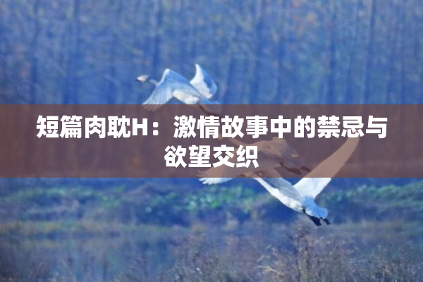 短篇肉耽H：激情故事中的禁忌与欲望交织