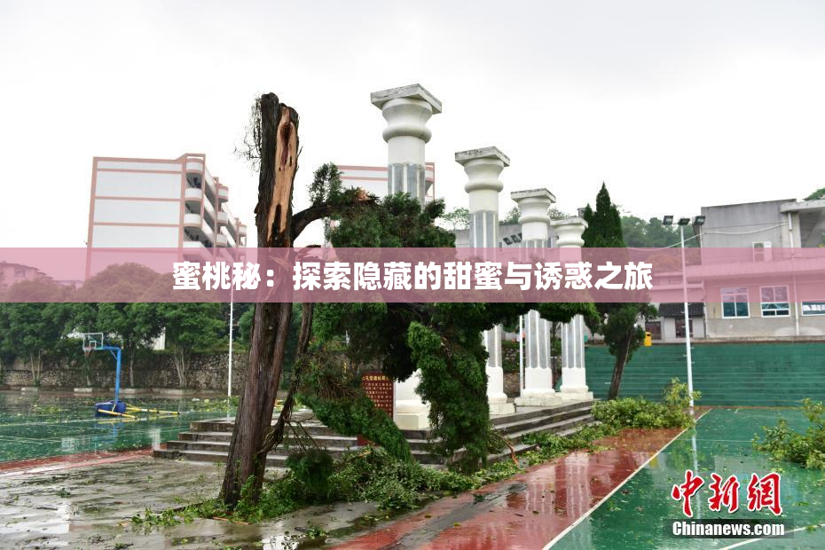 蜜桃秘：探索隐藏的甜蜜与诱惑之旅