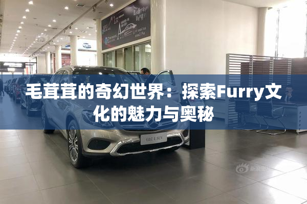 毛茸茸的奇幻世界：探索Furry文化的魅力与奥秘