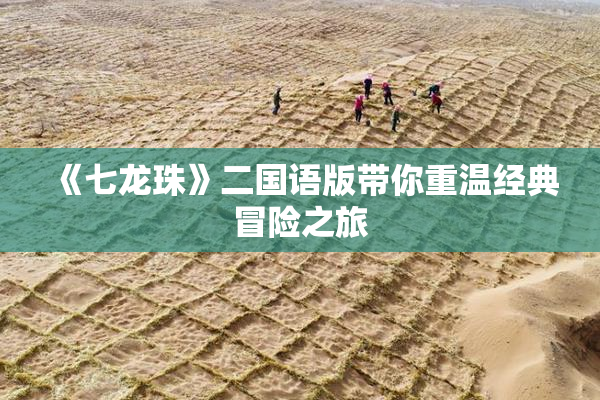 《七龙珠》二国语版带你重温经典冒险之旅