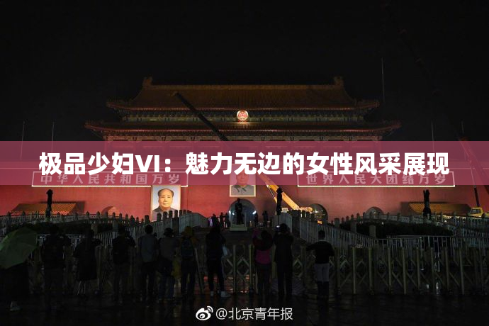极品少妇VI：魅力无边的女性风采展现