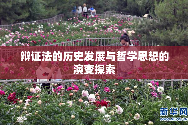 辩证法的历史发展与哲学思想的演变探索