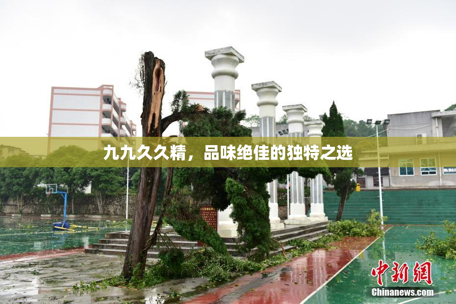 九九久久精，品味绝佳的独特之选