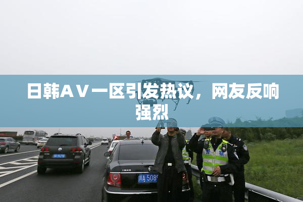 日韩AⅤ一区引发热议，网友反响强烈