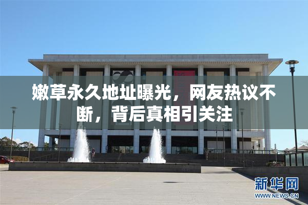 嫩草永久地址曝光，网友热议不断，背后真相引关注
