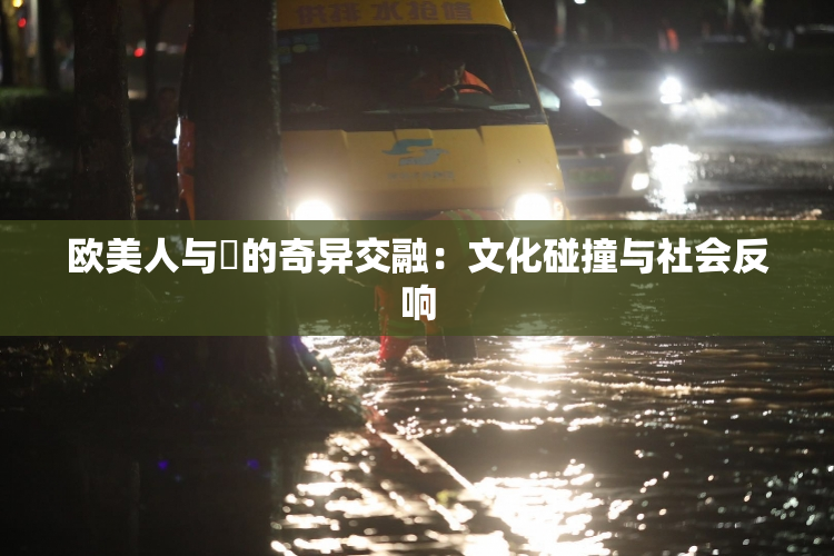 欧美人与嘼的奇异交融：文化碰撞与社会反响