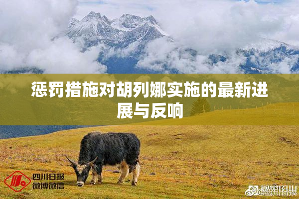 惩罚措施对胡列娜实施的最新进展与反响