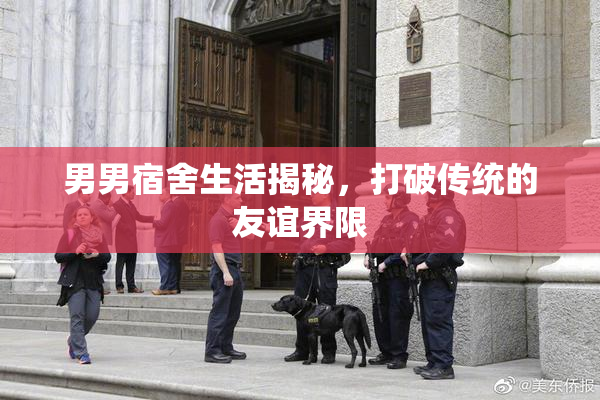 男男宿舍生活揭秘，打破传统的友谊界限