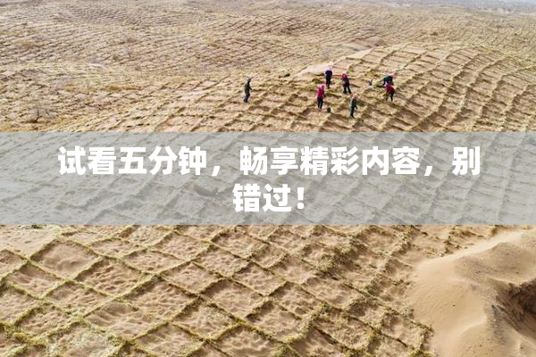 试看五分钟，畅享精彩内容，别错过！