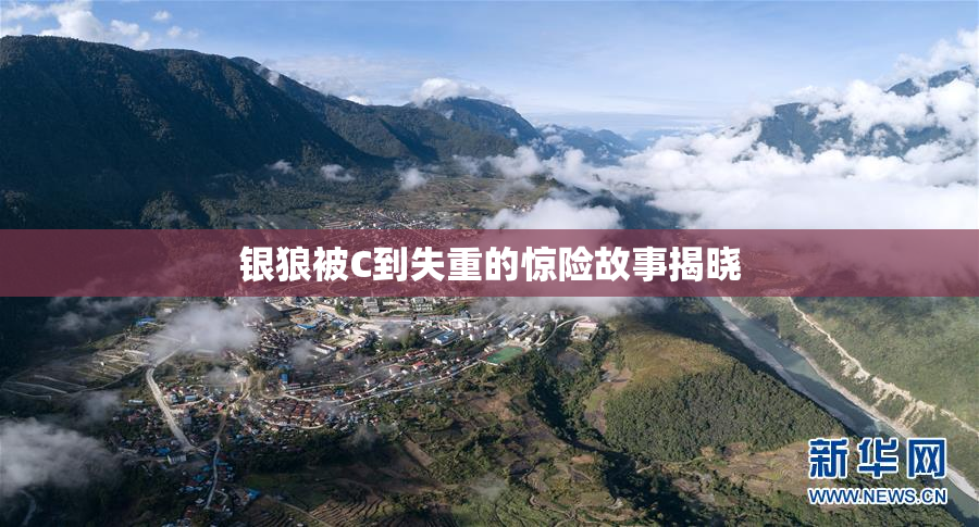 银狼被C到失重的惊险故事揭晓