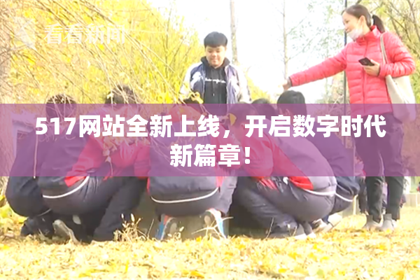 517网站全新上线，开启数字时代新篇章！