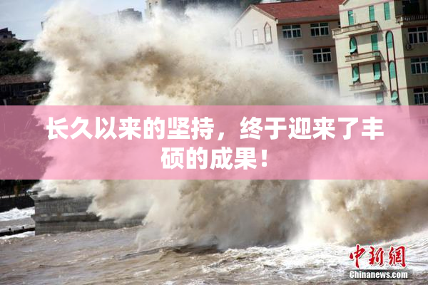 长久以来的坚持，终于迎来了丰硕的成果！