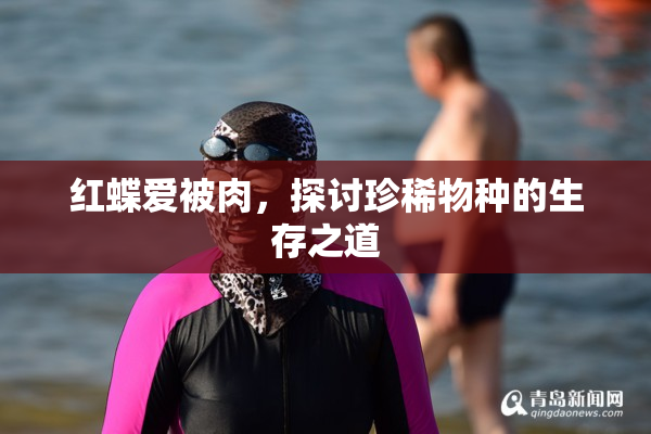 红蝶爱被肉，探讨珍稀物种的生存之道