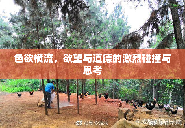 色欲横流，欲望与道德的激烈碰撞与思考