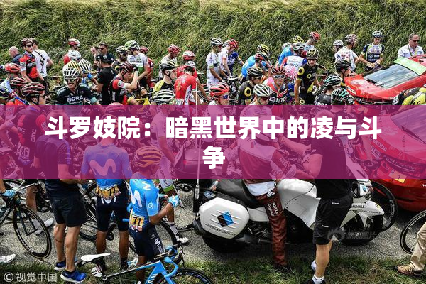 斗罗妓院：暗黑世界中的凌与斗争