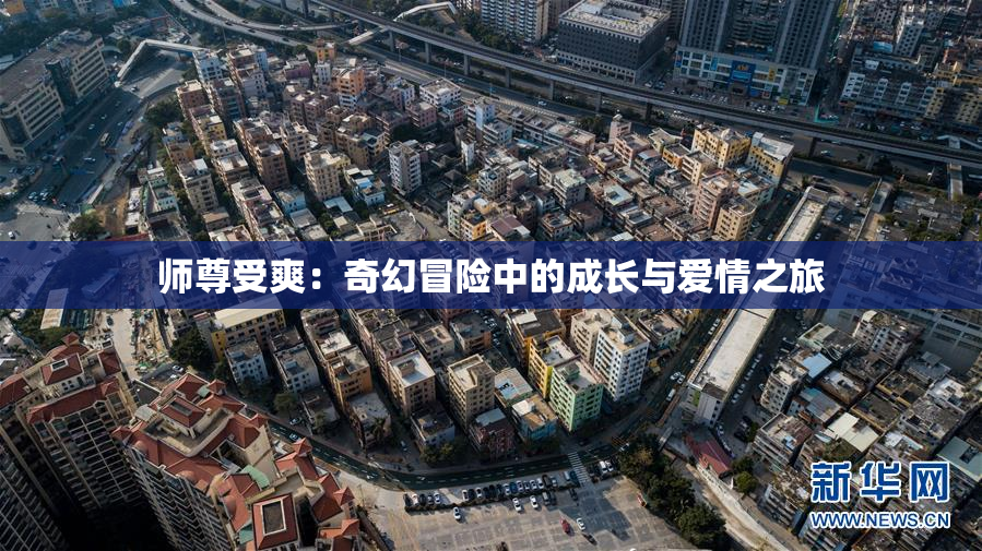 师尊受爽：奇幻冒险中的成长与爱情之旅