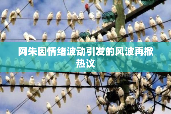 阿朱因情绪波动引发的风波再掀热议