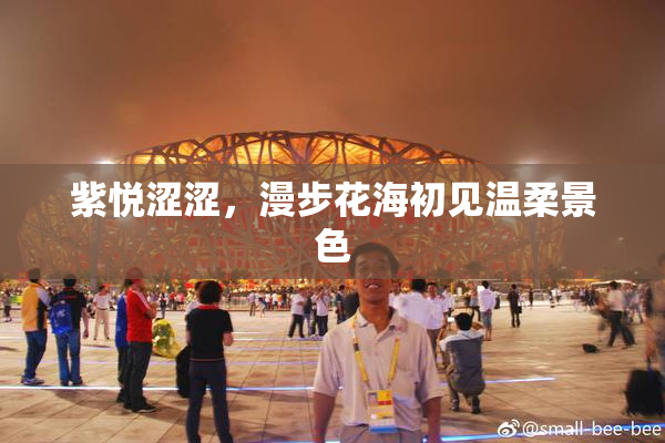 紫悦涩涩，漫步花海初见温柔景色