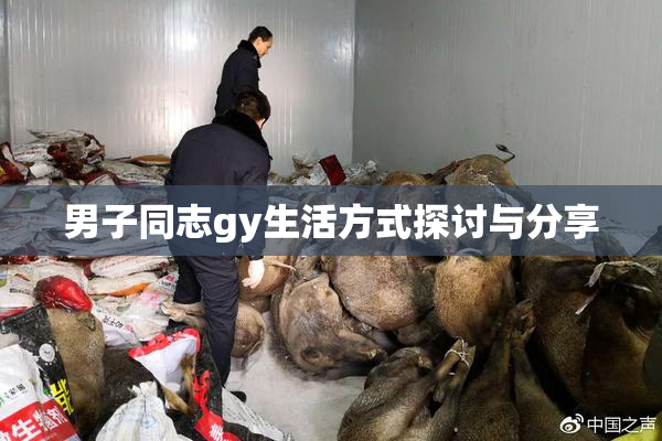 男子同志gy生活方式探讨与分享