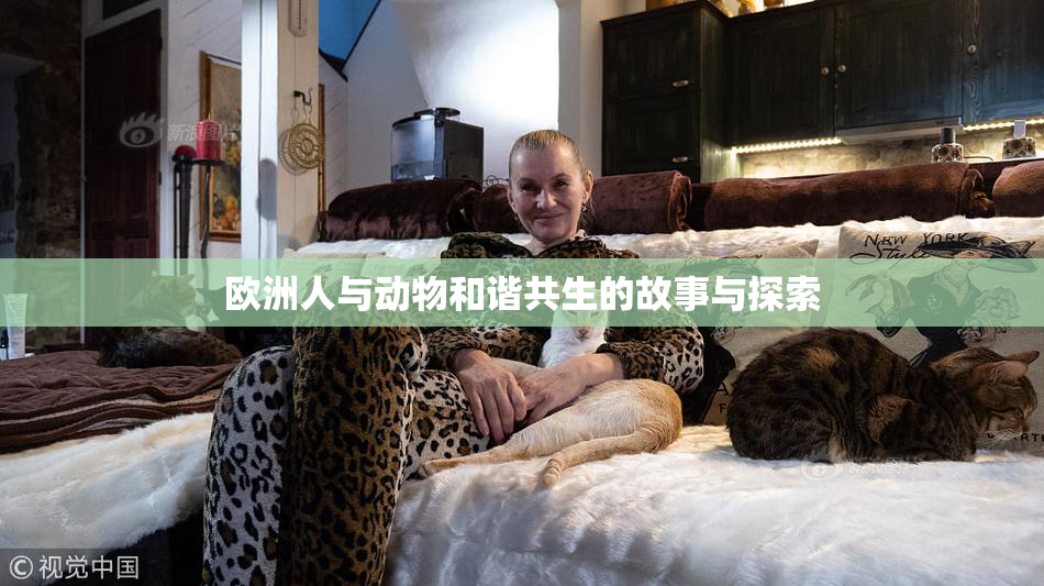 欧洲人与动物和谐共生的故事与探索