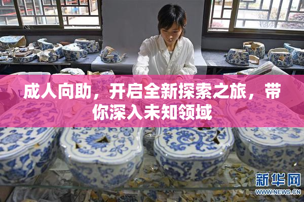 成人向助，开启全新探索之旅，带你深入未知领域
