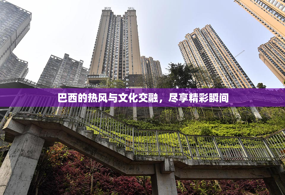 巴西的热风与文化交融，尽享精彩瞬间