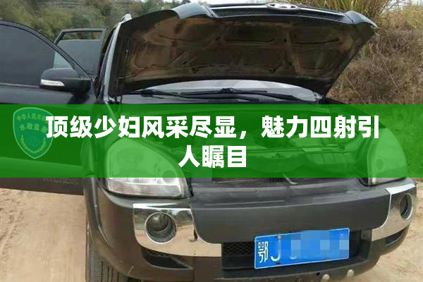 顶级少妇风采尽显，魅力四射引人瞩目