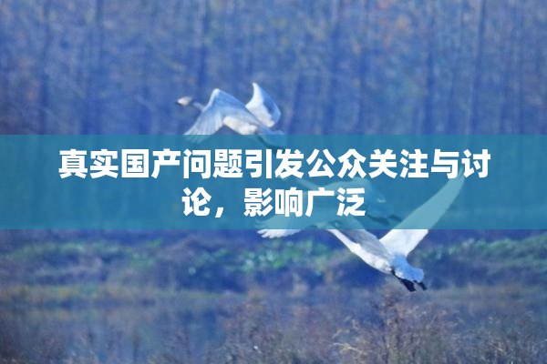 真实国产问题引发公众关注与讨论，影响广泛