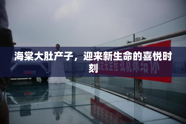 海棠大肚产子，迎来新生命的喜悦时刻