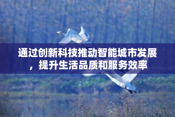 通过创新科技推动智能城市发展，提升生活品质和服务效率