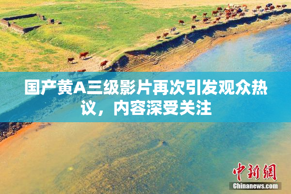国产黄A三级影片再次引发观众热议，内容深受关注