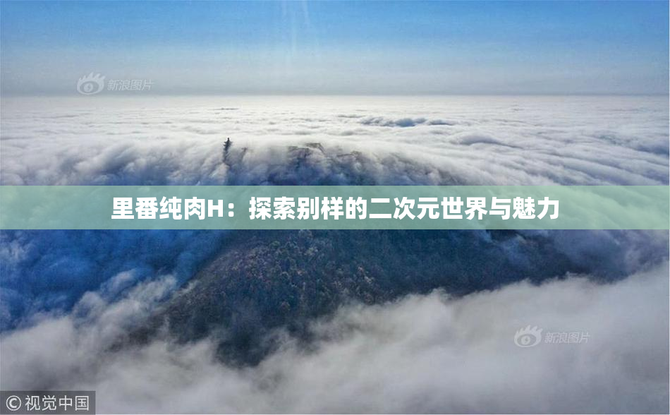 里番纯肉H：探索别样的二次元世界与魅力
