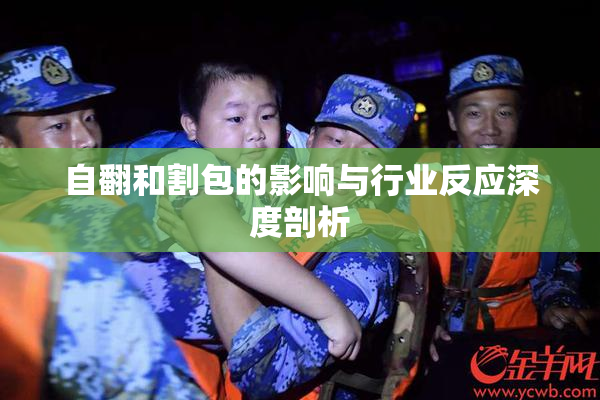 自翻和割包的影响与行业反应深度剖析