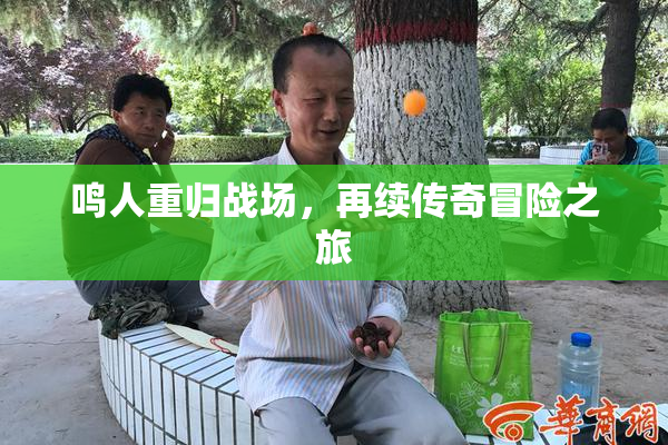 鸣人重归战场，再续传奇冒险之旅