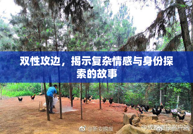 双性攻边，揭示复杂情感与身份探索的故事