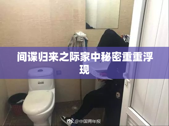 间谍归来之际家中秘密重重浮现