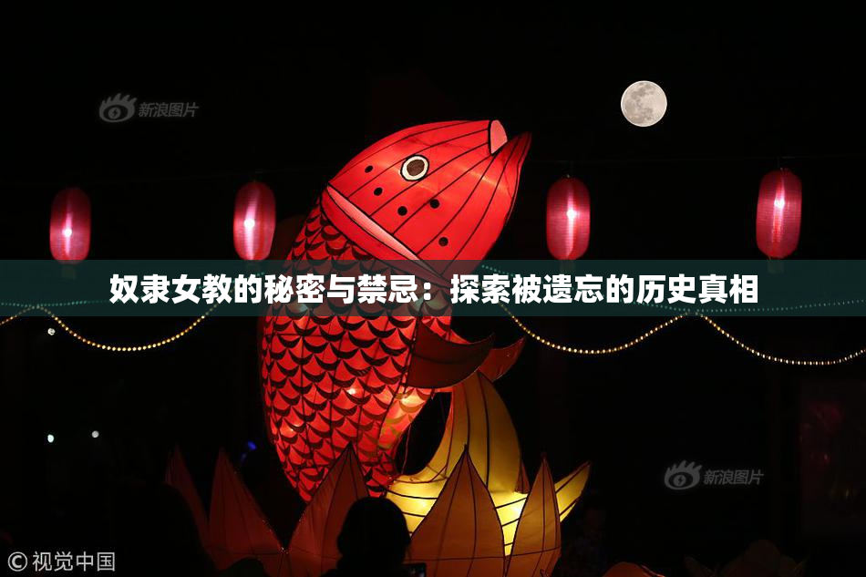 奴隶女教的秘密与禁忌：探索被遗忘的历史真相