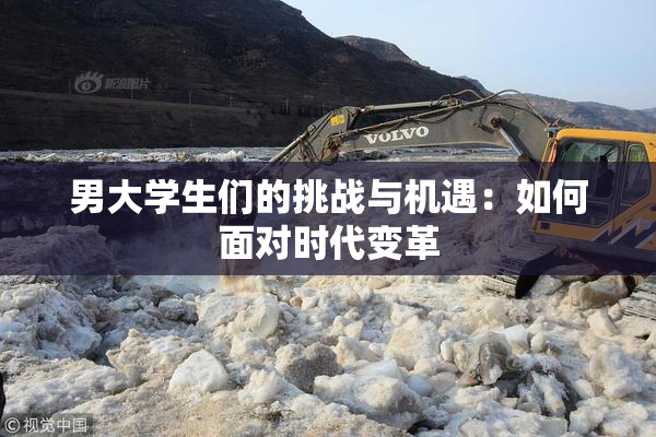 男大学生们的挑战与机遇：如何面对时代变革