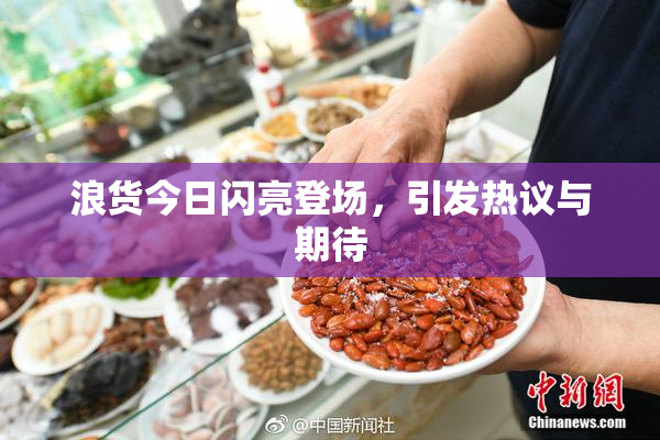 浪货今日闪亮登场，引发热议与期待